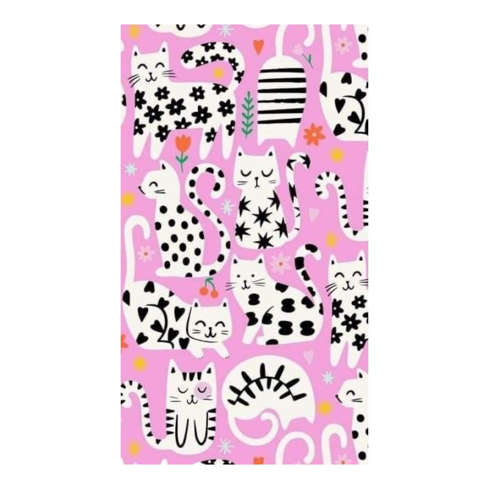 432530049_1138813214233907_2039318694884620871_n