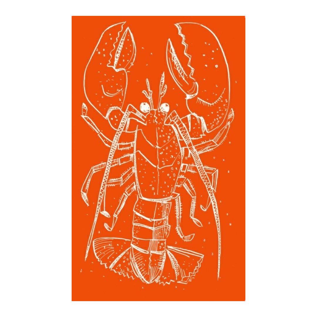 441995864_1217542155897223_8757019828557974103_n