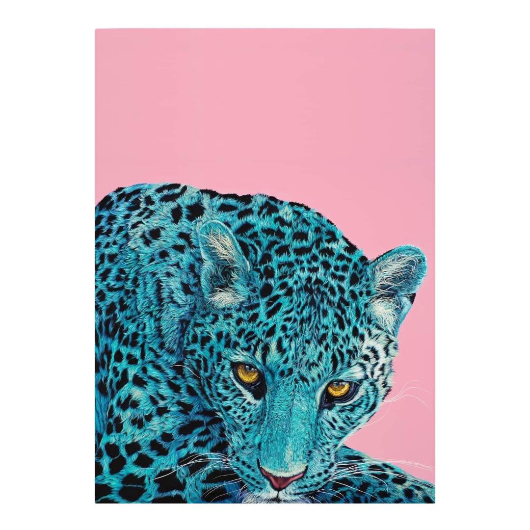 441319533_481089624349891_4488811259817502942_n