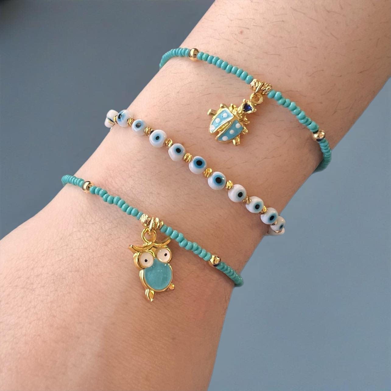 484551819_985884326969478_7595528310401774004_n