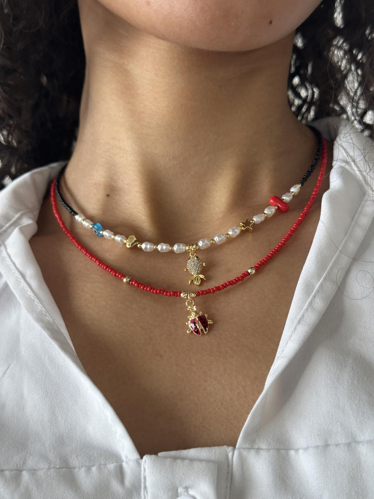 484811595_1190472755937551_4361798634127101596_n (1)