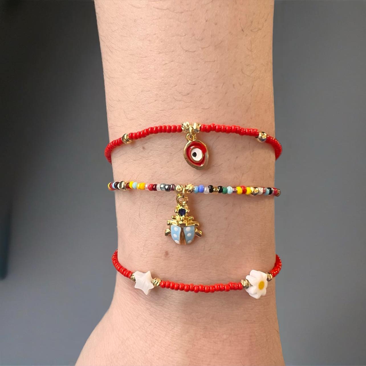 484830269_2319632925073445_5943713941581222683_n