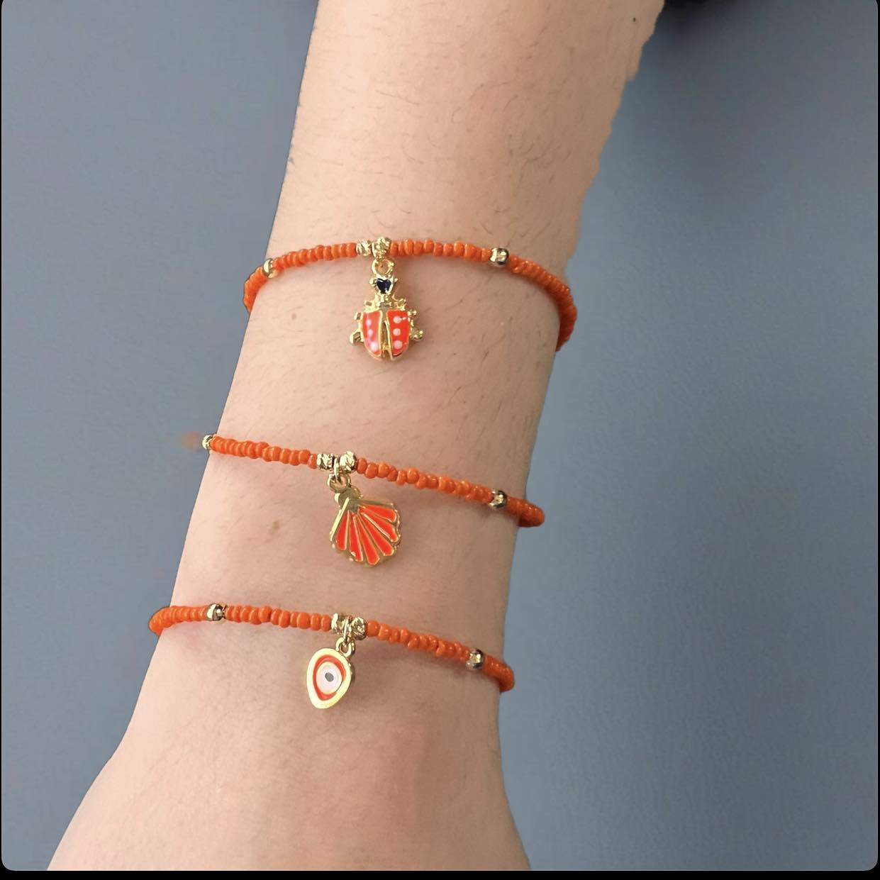 485477470_1189453922535418_3252642466462278693_n