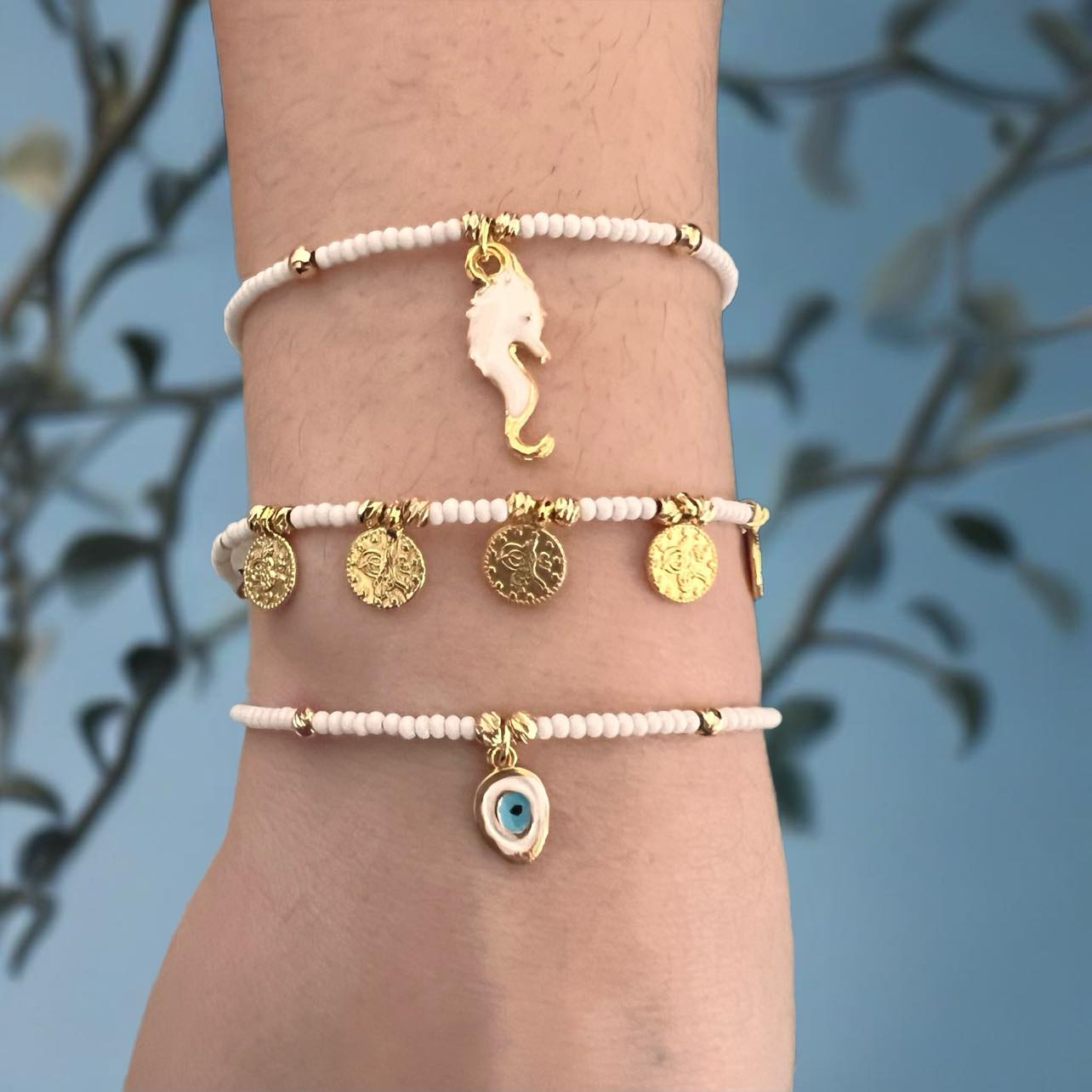 486239163_4284758575085158_6215922716299580039_n