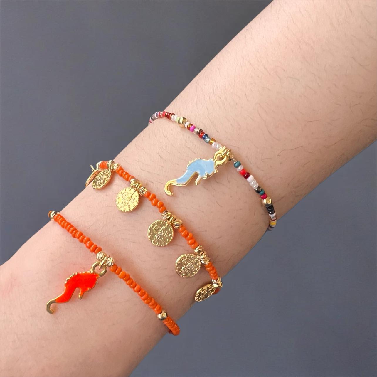 486445766_9773816089316844_9056058049345102596_n